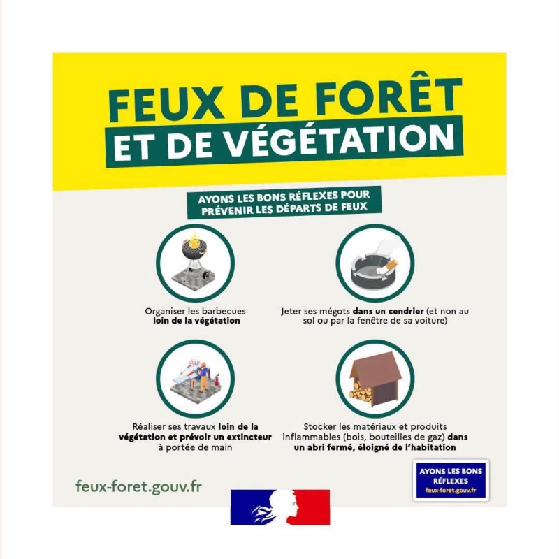 FEU DE FORET ET DE VEGETATION